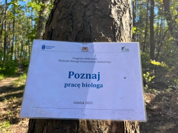 Zdjęcie WhatsApp 2025-05-12 o 18.26.37_5e922530