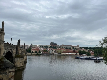 Zdjęcie WhatsApp 2025-06-07 o 17.04.48_0cf20632