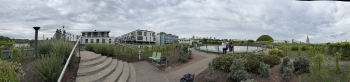 IMG_0583.jpeg