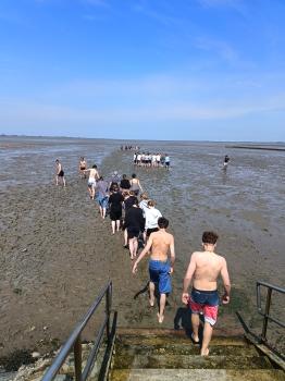 IMG_20250617_115346509