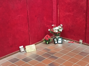 IMG_20250618_135915849