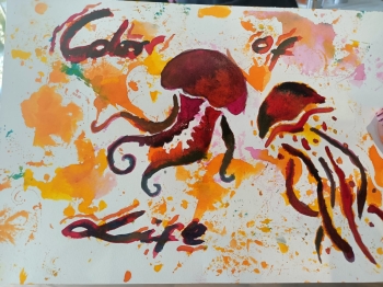 Zdjęcie WhatsApp 2025-10-16 o 18.17.33_e78447c2