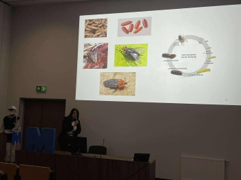 569888604_697269599596831_4731703250290832076_n