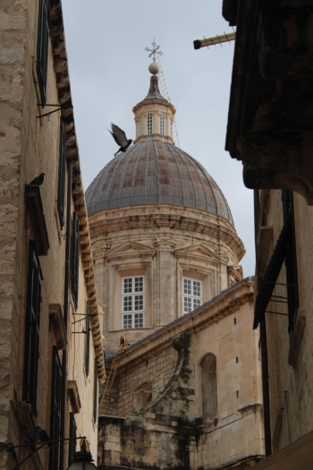 Zdjęcie WhatsApp 2025-10-25 o 16.10.40_43ad8a6f