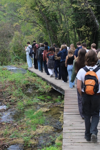 Zdjęcie WhatsApp 2025-10-25 o 16.10.40_7bf4f1a8