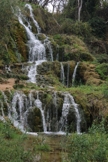 Zdjęcie WhatsApp 2025-10-25 o 16.10.40_981819e4