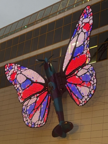 Zdjęcie WhatsApp 2025-10-29 o 21.31.19_8c06a75c