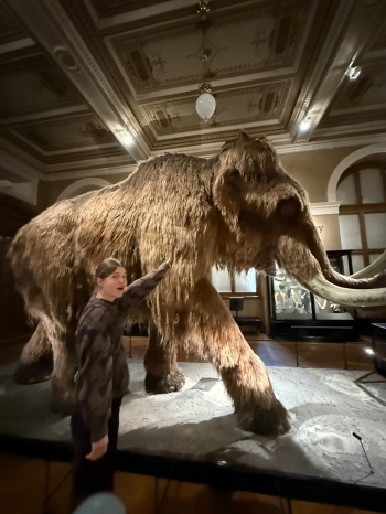 Zdjęcie WhatsApp 2025-10-29 o 21.31.19_1d98d0e4