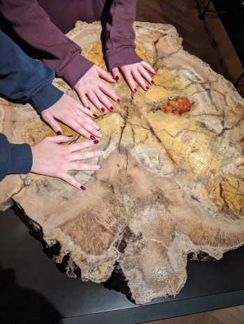 Zdjęcie WhatsApp 2025-10-29 o 21.31.19_2f6556fa