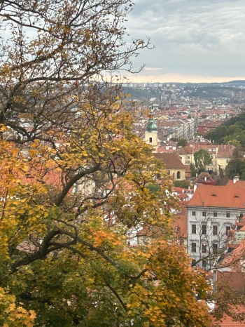 Zdjęcie WhatsApp 2025-10-29 o 21.31.19_56c19603