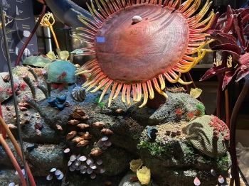 Zdjęcie WhatsApp 2025-10-29 o 21.31.19_496db6a7