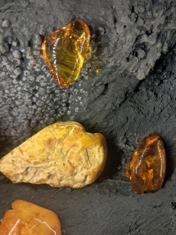 72b96619-6f44-4a03-8513-43be44ad99d9