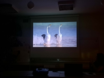 3548daf8-77b3-408e-812c-523115f3ca38