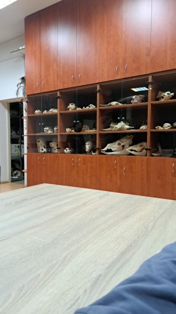 0678082d-c655-4fb0-bb95-76797d1d2826