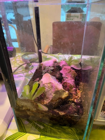 WhatsApp Image 2026-01-16 at 17.27.145.jpeg