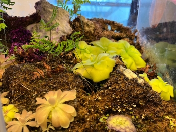 WhatsApp Image 2026-01-16 at 17.27.156.jpeg