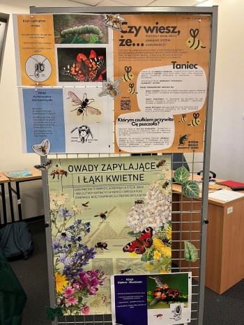 WhatsApp Image 2026-01-16 at 17.27.225.jpeg