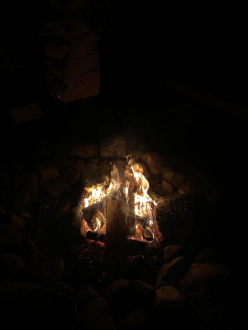 76ffd5b2-435e-4aca-a722-2691c84bc357