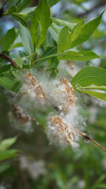 fb449ac9-081b-45d5-b311-d8d9aebc6210