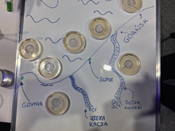 obraz (2)