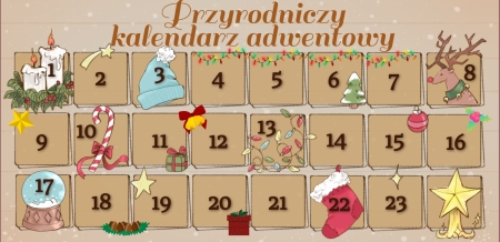 Przyrodniczy Kalendarz Adwentowy - od 1 do 23 grudnia !