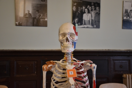 Projekty historyczne 2c